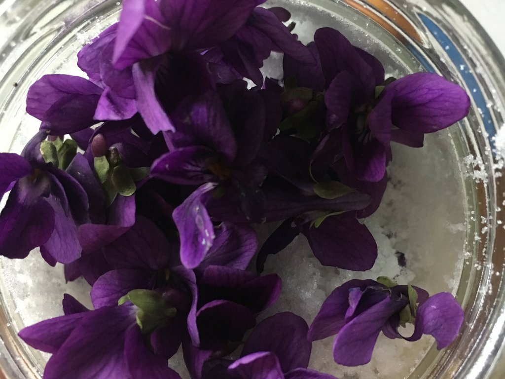 PennaKitchen's tweet image. Lovely added to tea or sprinkled on baked goods, this colourful sparkly violet sugar is quite literally springtime in a bottle: ow.ly/dgQK30iRv9Y