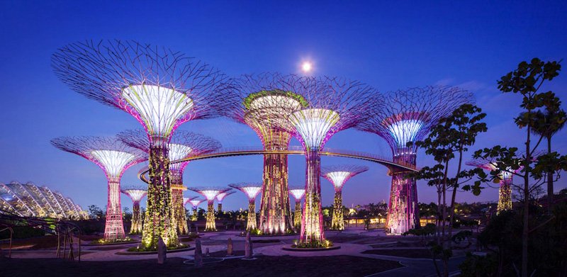 LiveGoodInc's tweet photo. Excited to be partnering with Singapore's top architects incorporating Live Good organics into their design plan!  #SustainableDevelopment @UNEP https://t.co/s3ldTy8ei6