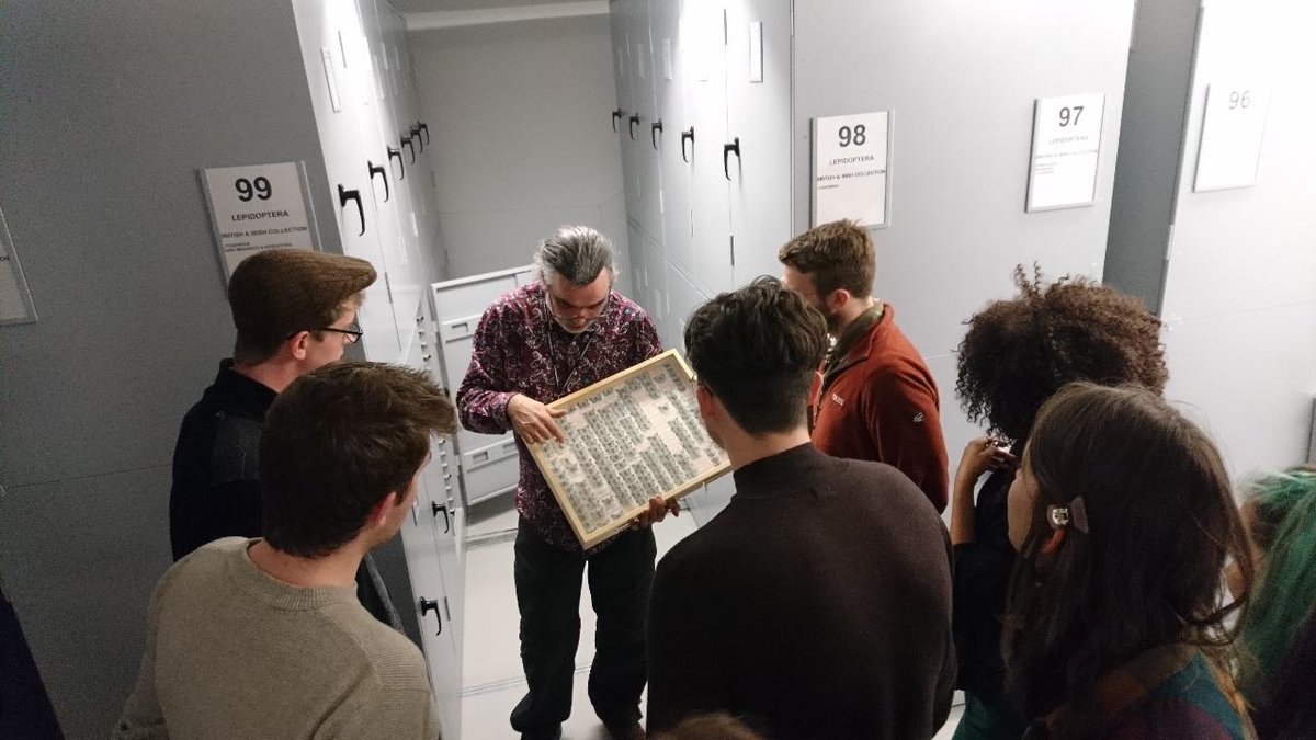 BenhsBuzz's tweet photo. We had a fantastic tour around @NHM_London insects collections yesterday. Massive thanks to @NHM_ID, @flygirlNHM, @Coleopterist and Geoff Martin for sharing their knowledge, passion and expertise! https://t.co/Xv2i2ABzNr