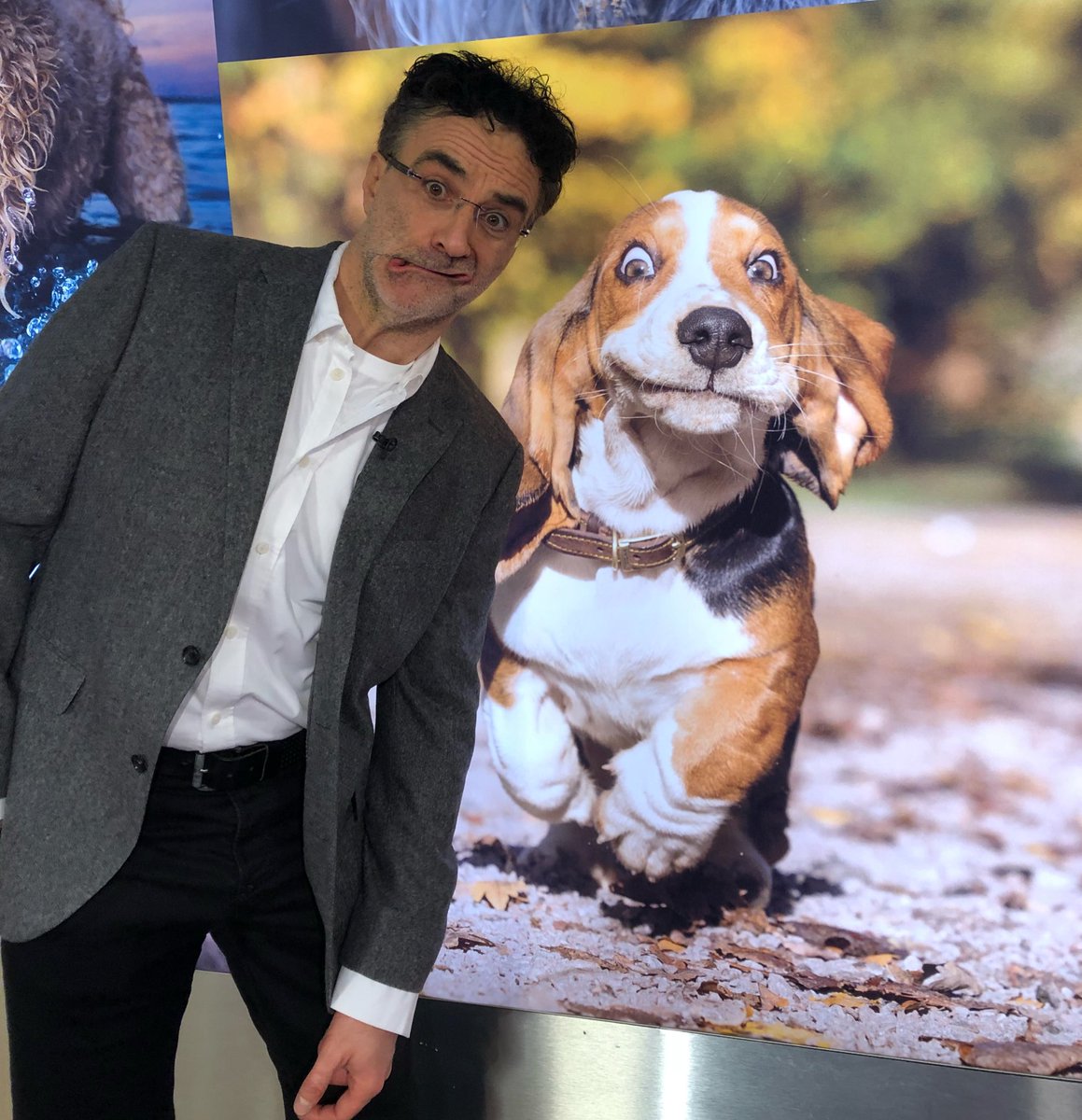 Ralph and I aren’t so different really... <a href="/Crufts/">Crufts</a> #Crufts