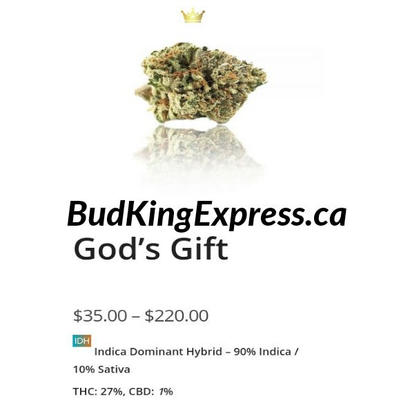 budkingexpress's tweet photo. https://t.co/Hd2SIt9nTy  🔥BUY 🔥WEED 🔥ONLINE

#weedstagram #weedfeed #WEEDS #weeddating #Weedmaps #weed #CannabisCommunity #cannabismedicinal #cannabislife #cannabis #MarijuanaNews #marijuanadating #marijuana #canada #CanadianClub #canadiangirls https://t.co/dlXebHK8KS