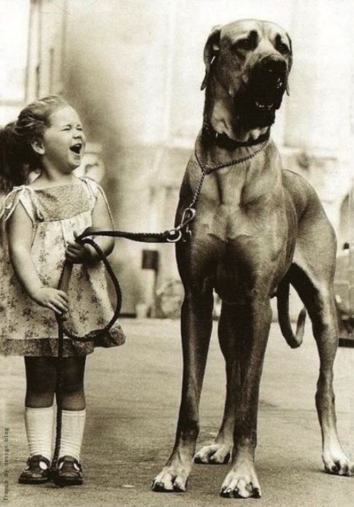 4PawsRescueUT's tweet photo. Teaching your children how to interact with dogs, and always supervising younger kids when they are with pets, will ensure the safety of both the child and the dog. https://t.co/mgvEV7OQrB