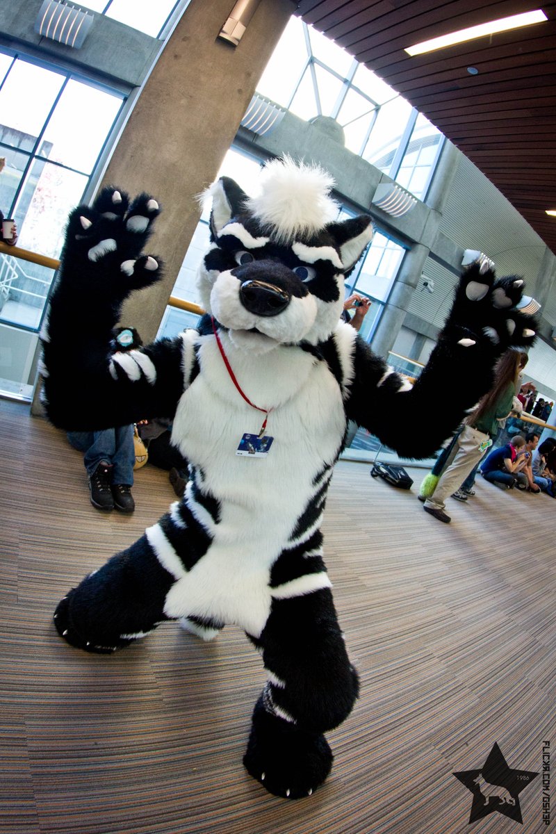 stefan_shepherd's tweet photo. Have Reggie for #FursuitFriday! :)
#FC2013 #FisheyeFun https://t.co/taV53jFK2L