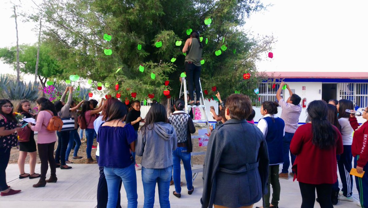 NormaMT2's tweet photo. @DFIDNormalesUPN 
UPN 213 El árbol de lo extraordinario.... https://t.co/bdtc5oRew3
