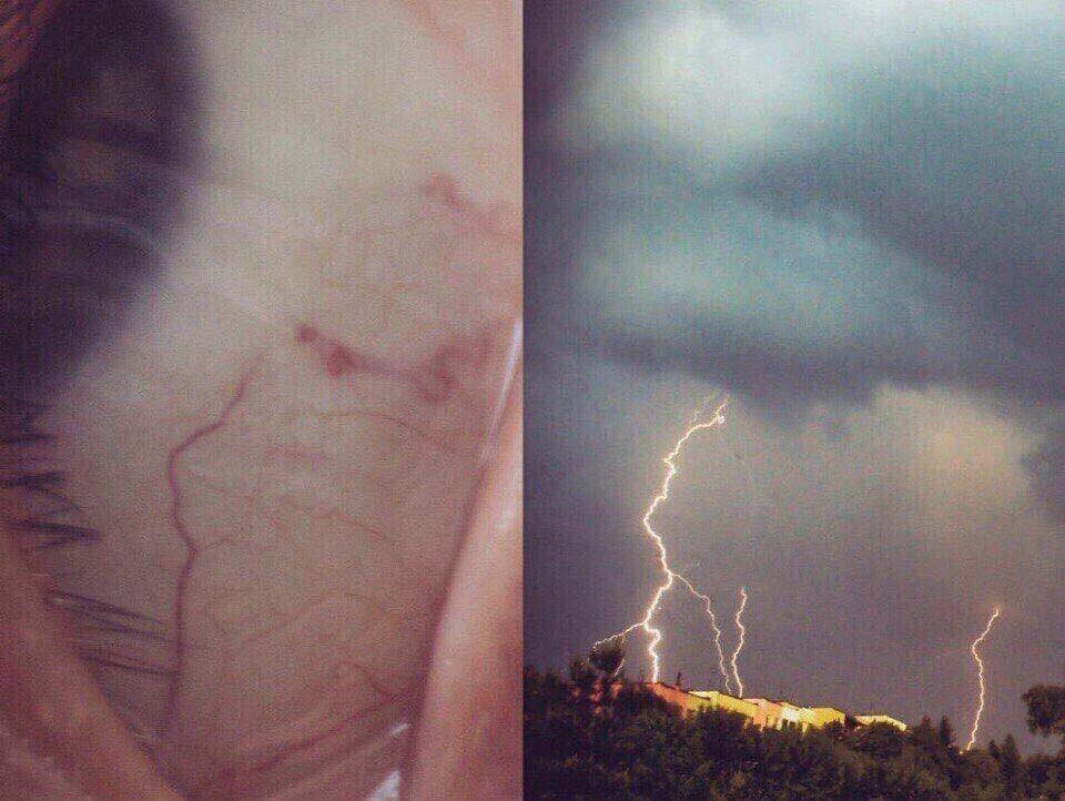 triptawave's tweet photo. Padrões da natureza 🕉 https://t.co/tRIltGrexC