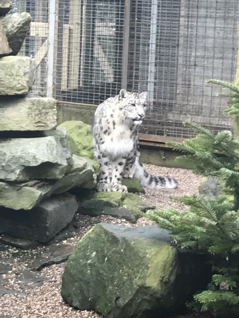 burt_imogen's tweet photo. Shout out to @ZooStephen for a fantastic day @dudleyzoo, learning about the historical enclosures and how adaptations to these enclosure for different animal have taken place for modern day use. Thank you @doloughlin32  for organising this amazing experience. https://t.co/5ihWDxQbXi