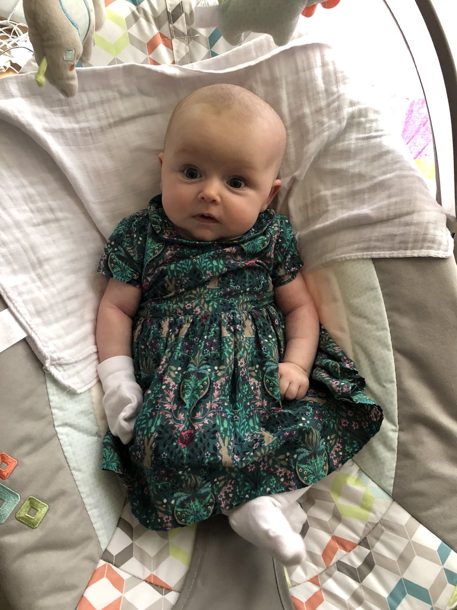 KittyCointreau's tweet photo. Sad not to be at @FFFilmmaking party tonight @BAFTA195 hosted by the brill @alicelowe! Really wanted to be there and have supported the #RaisingRaisingFilms campaign, but my 9 week old Gracie calls! So glad the #crowdfunding has gone so well! https://t.co/VHsxKplZQ8 #WomeninFilm https://t.co/zzrroQ4BCn