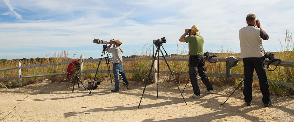 National Geographic has named Cape May one of the world's top 10 birding destinations

capemay.com/blog/2018/03/n…