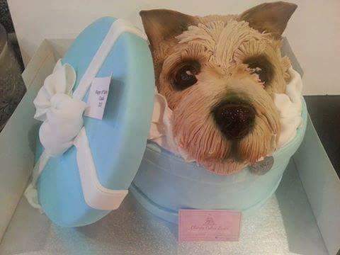 BrandomClaire's tweet photo. #Crufts I might enter my cake into Drifts 🤣 #crufts #clairescakesessex #terrierdogs #extremecakemaker https://t.co/yUJz2otrcd