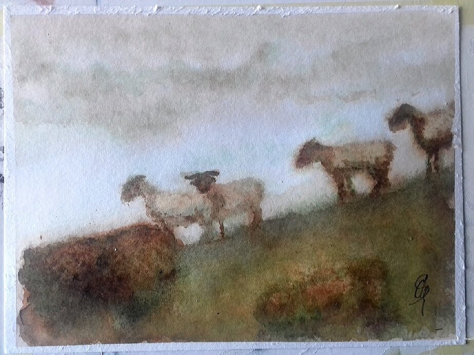 sofie_nett's tweet photo. #aquarelle #peinture #watercolorpainting #watercolor #aquarella #paysbasque #mouton #moutons #nature #s.clz https://t.co/AY9TXWRPUe