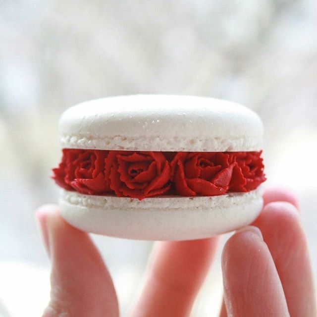 cupcakeproject's tweet photo. One of the most beautiful macarons I've ever seen! Who is with me?
Repost from @ayseyamanbutikpasta - ❤️ #macaron #macarons #macaronrose #flowermacarons #makaron #güllümakaron #baking #bakery #dessert #macaronlove #macaronlady #rose #roses #instamac… https://t.co/6J9jDs6wxJ https://t.co/mJJzJr85tJ