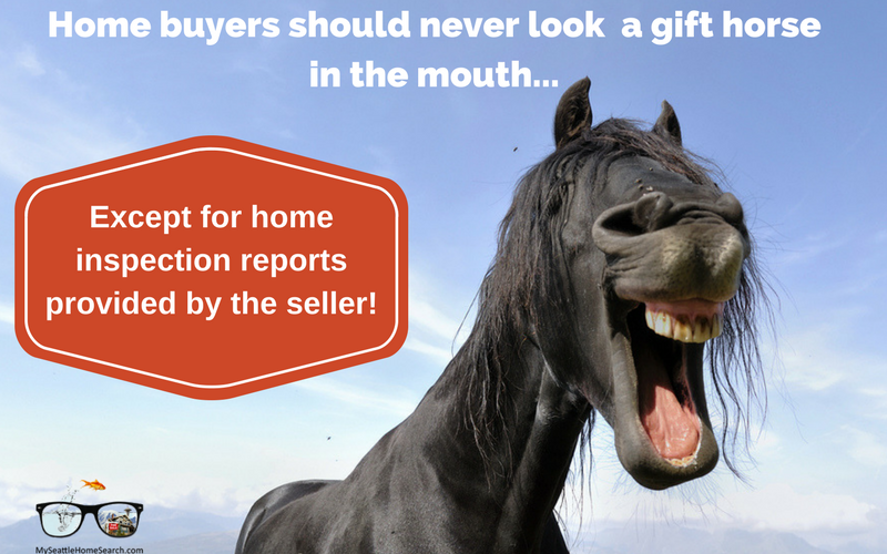 Conor MacEvilly tweet media