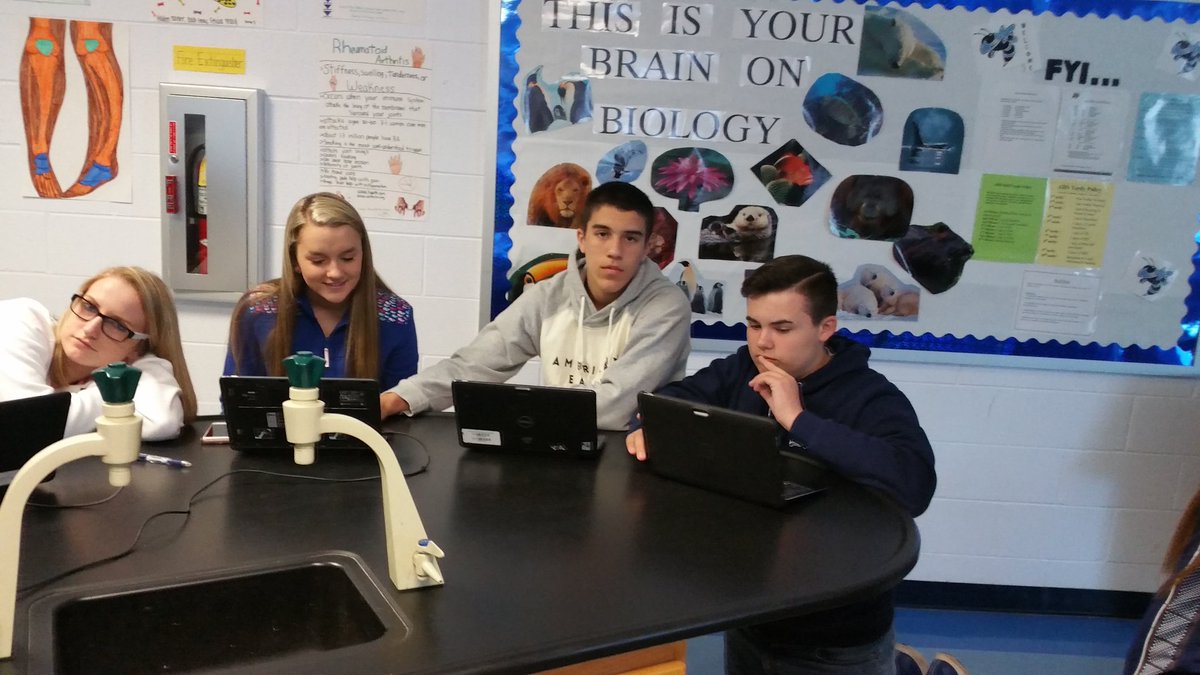 krob5570's tweet photo. Quiz let LIVE to review for their photosynthesis-cell respiration test in CP Bio! #ahsengagement https://t.co/uWwvnYXd5P