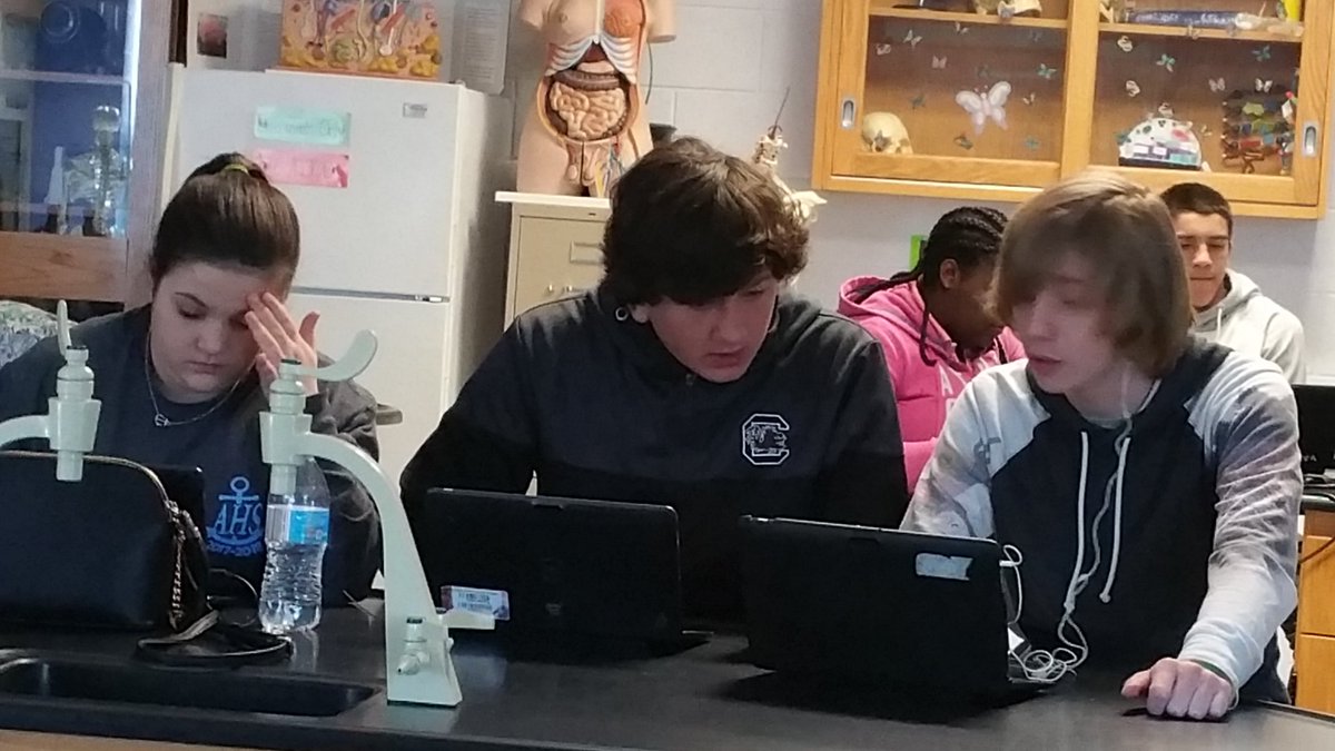 krob5570's tweet photo. Quiz let LIVE to review for their photosynthesis-cell respiration test in CP Bio! #ahsengagement https://t.co/uWwvnYXd5P