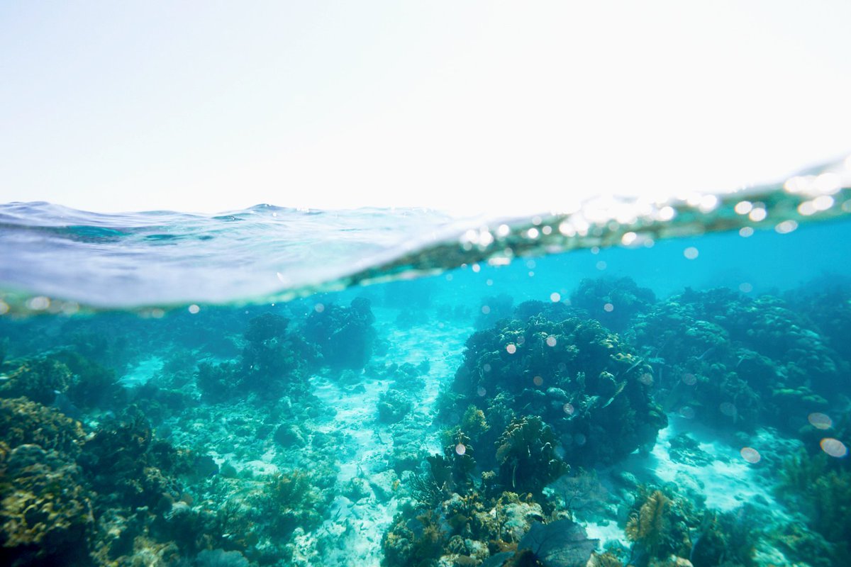 CostaSunglasses's tweet photo. Coming soon...
Introducing the Del Mar Collection, surfacing March 21st. #seewhatsoutthere #newshades #comingsoon #delmarcollection https://t.co/vJJz3d4c1J