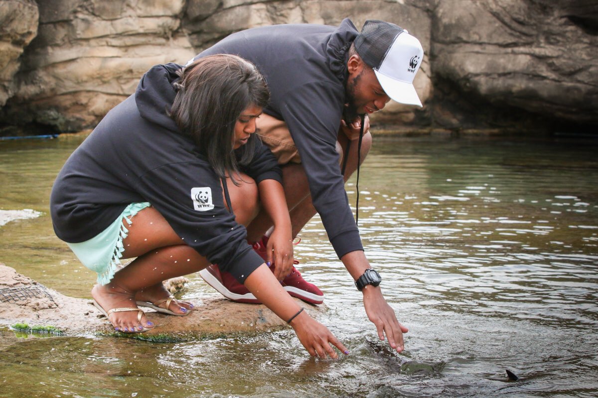 Explo4Knowledge's tweet image. An amazing day spent for the team and chefs had they spent the day at @uShakaMarine