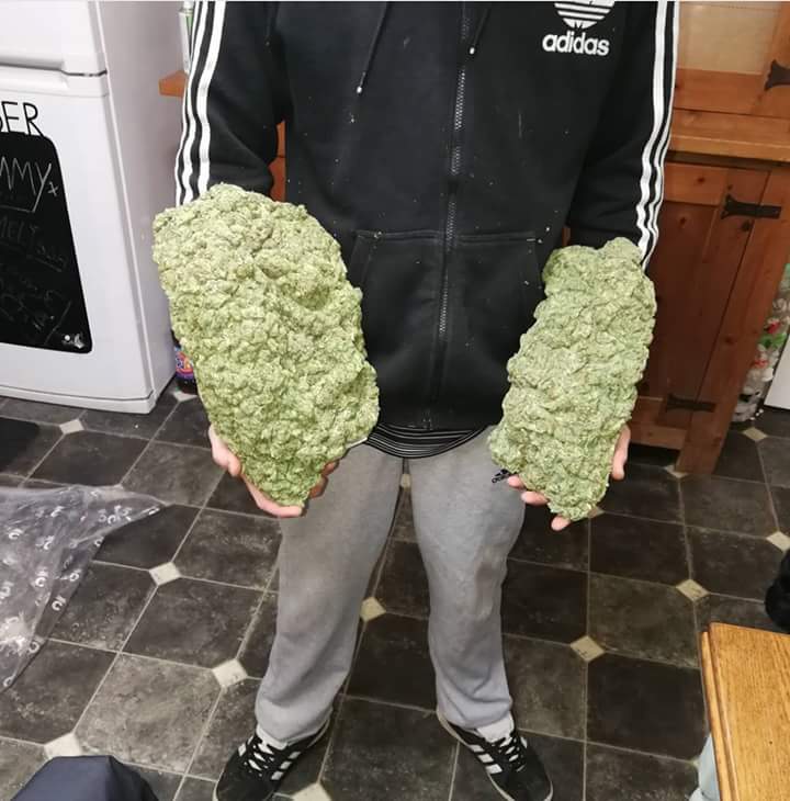 Druglord2018's tweet photo. @Pontifex Contact us for medicinal Marijuana https://t.co/QDjeK2CJRs