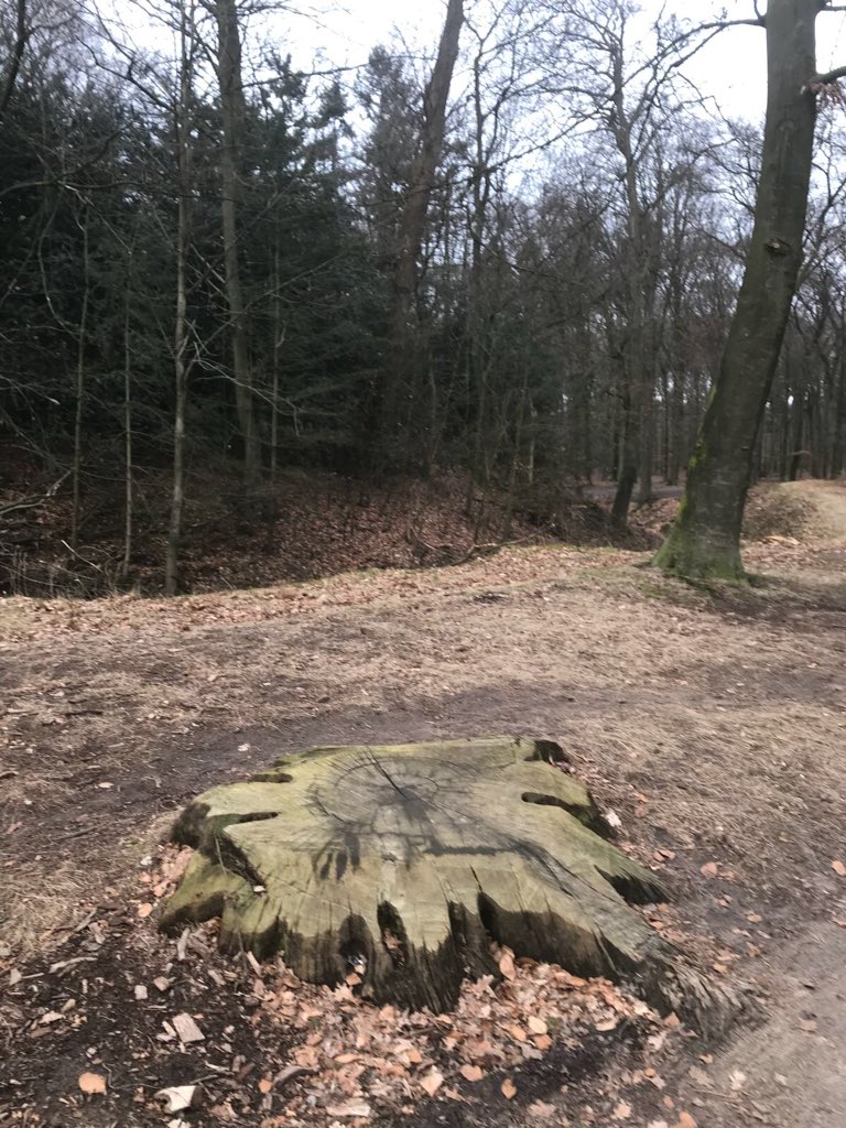 mapcusters's tweet image. Vandaag in Wageningen met medestudenten van de #MLI teruggegaan naar de plek waar t allemaal begon bij 'de omgevallen boom':speciaal moment!