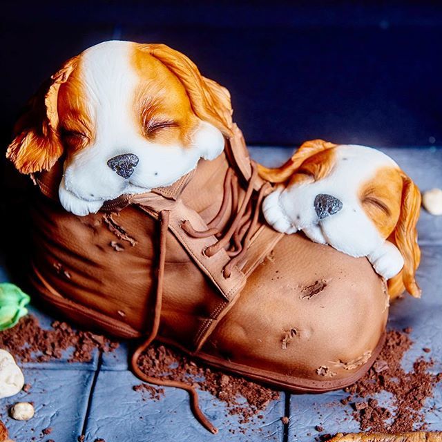thecakeshows's tweet photo. That Friday feeling 😴#fridayfeeling #cakeinternational #yesitsacake #cakecomp #instacake #cakedecorator #fondantart #amazingcakes #dogsofinstagram https://t.co/kajIWqyPRX https://t.co/9CKgW7w7b6