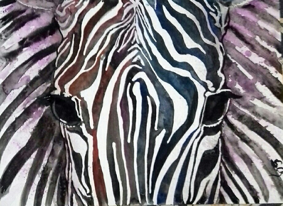 sofie_nett's tweet photo. #aquarelle #watercolor #animals #animaux #nature #aquarella #sclz #zebre #cebra #zebra https://t.co/g7AFUdyvtN
