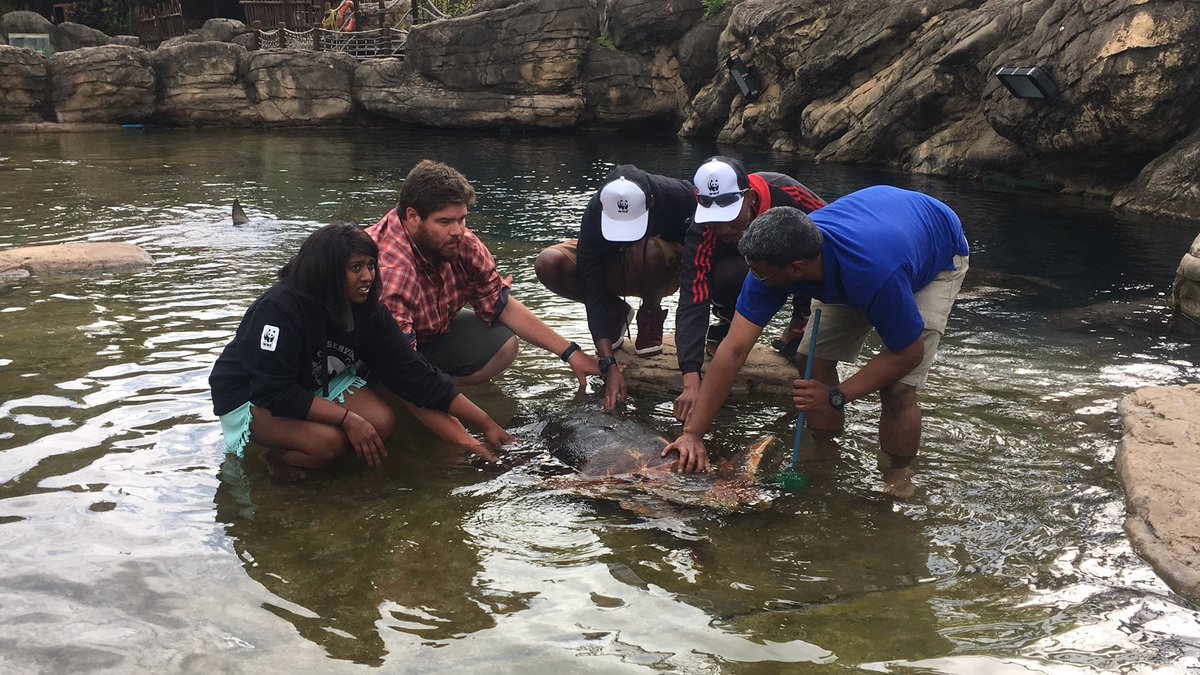Explo4Knowledge's tweet image. At @uShakaMarine the team and chefs were toured around the park seeing all the marine life they have to show.