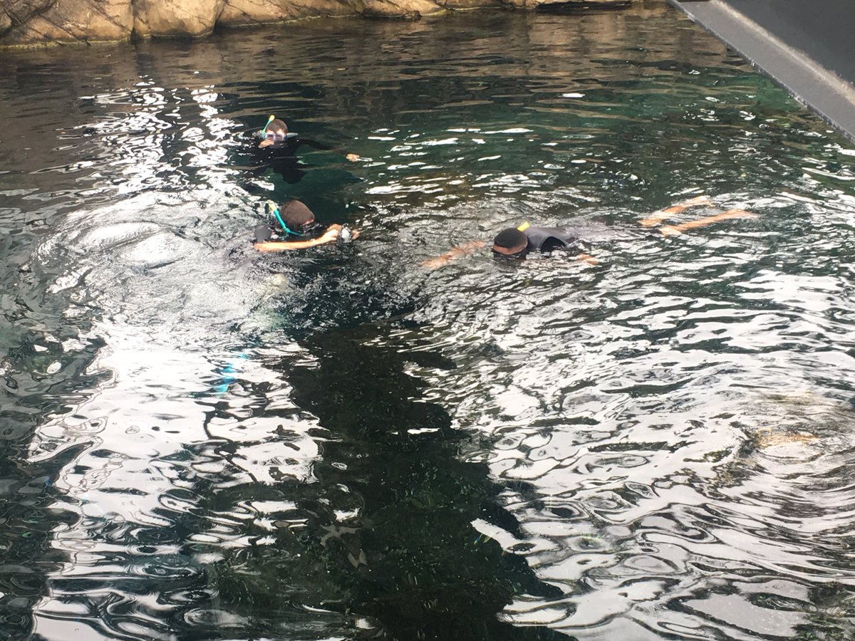 Explo4Knowledge's tweet image. At @uShakaMarine the team and chefs were toured around the park seeing all the marine life they have to show.
