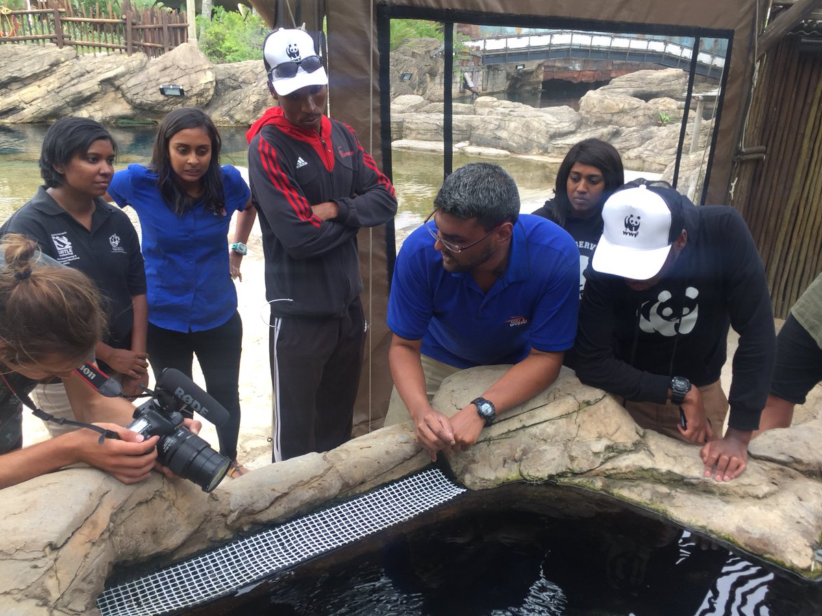 Explo4Knowledge's tweet image. At @uShakaMarine the team and chefs were toured around the park seeing all the marine life they have to show.