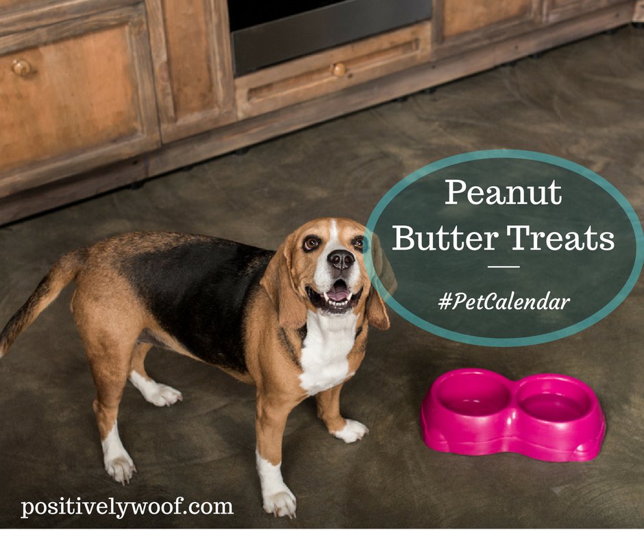 positivelywoof's tweet photo. Whose #dog loves #PeanutButter? Delicious recipe from @SugarTheGoldenR to celebrate #PeanutButterMonth #PetHolidayCalendar https://t.co/hGzzglH3pN https://t.co/XnMlEAkNdb