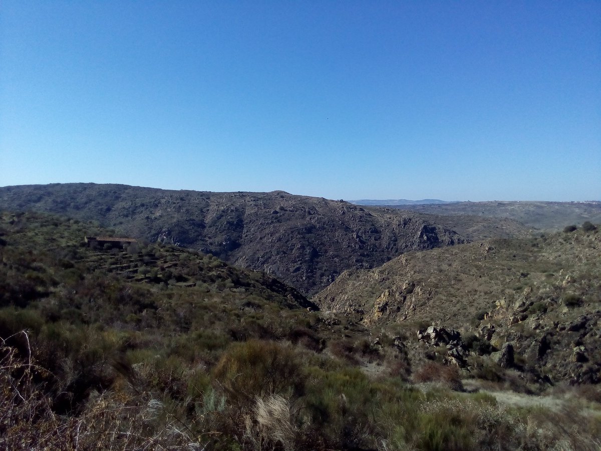 Batis_Eduardo7's tweet photo. What a week over 1700km and more than 100 samples #botryosphaeriaceae #forestpathogens #portugal https://t.co/61oHo5Cg9a
