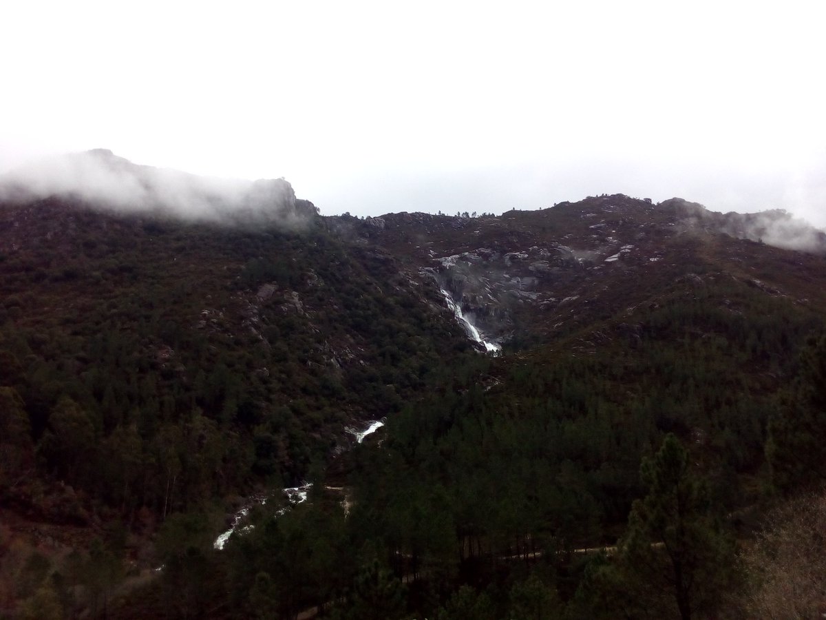 Batis_Eduardo7's tweet photo. What a week over 1700km and more than 100 samples #botryosphaeriaceae #forestpathogens #portugal https://t.co/61oHo5Cg9a
