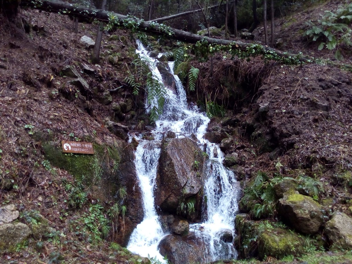 Batis_Eduardo7's tweet photo. What a week over 1700km and more than 100 samples #botryosphaeriaceae #forestpathogens #portugal https://t.co/61oHo5Cg9a