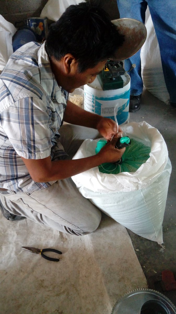 IsaacGDC's tweet photo. Instalación de módulo poscosecha en Santa Inés Ahuatempan, Puebla.08/03/18
#ImplementaPoscosecha
#HubVAM
@ACCIMMYT
@poscosechasip https://t.co/EKNrLOxY2i