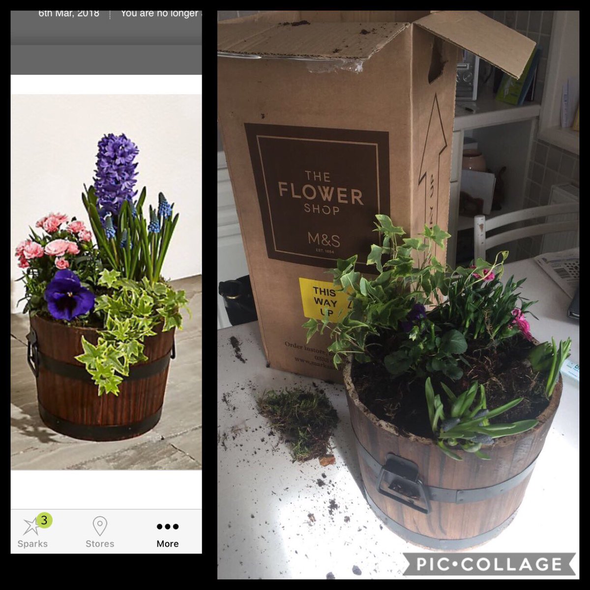 Sam_Crispin's tweet photo. Epic fail on your Mother’s Day flower bucket @marksandspencer and no, there are no bulbs waiting to fill in the gap. #SpotTheDifference #gutted #refundtime #MothersDay2018 #EpicFail https://t.co/rxE8UmDCb0