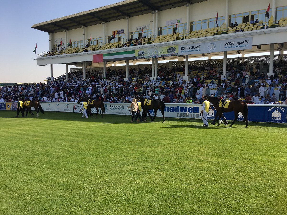 Tim_Kent83's tweet photo. Delighted to witness a @GoffsUK double @JebelAliRC today with Aridity and Kowaiyess both successful for new owners/trainers. Looking forward to the big day @DRC_Meydan tomorrow https://t.co/cXoDjnzg8B