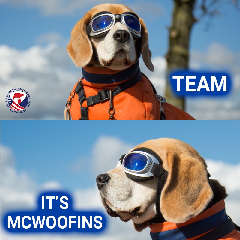 Barks McWoofins says, "Team. It's McWoofins."