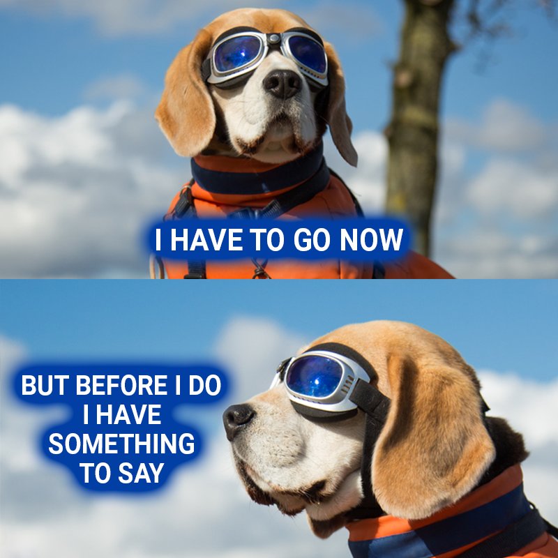 Barks McWoofins says, "I have to go now. But before I do, I have something to say."