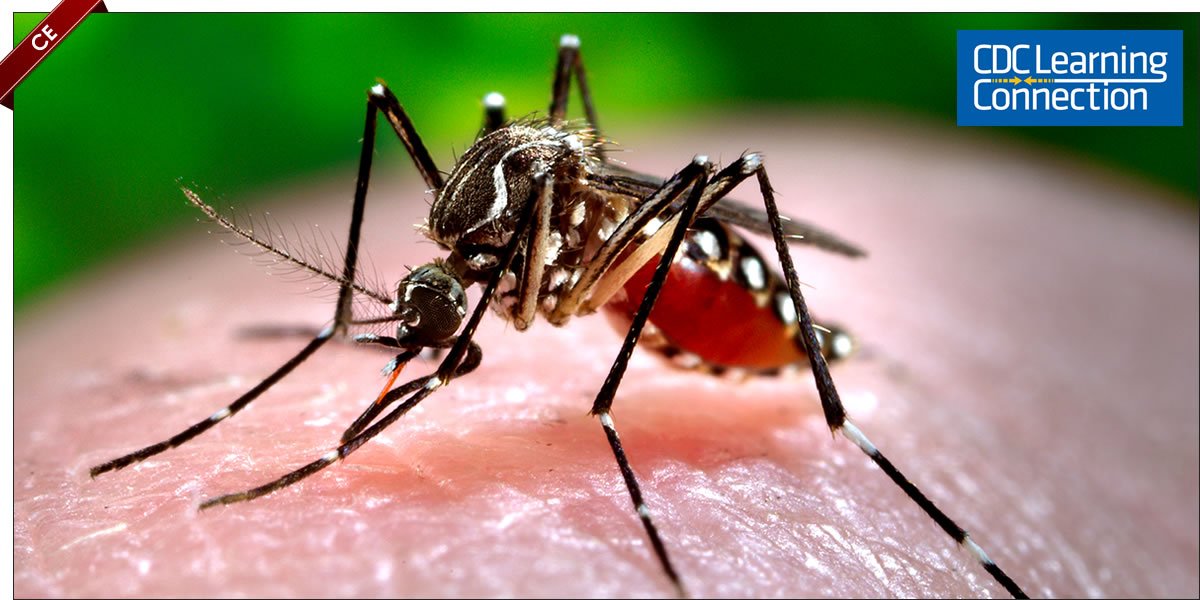 CDC_eHealth's tweet photo. Earn free #CE! Learn how to control #mosquitoes and other vectors. #CDCLearning @CDCEnvironment https://t.co/7y0pmIgv5x https://t.co/Ghx7UdXivV