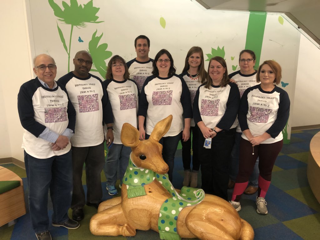 MArnold_PedPath's tweet image. Happy Histotechnology Professionals Day! Celebrating with H&amp;amp;E color cupcakes! 🔬@NCHforDocs #pathology #NCHpath #PediPath @KBadizad
