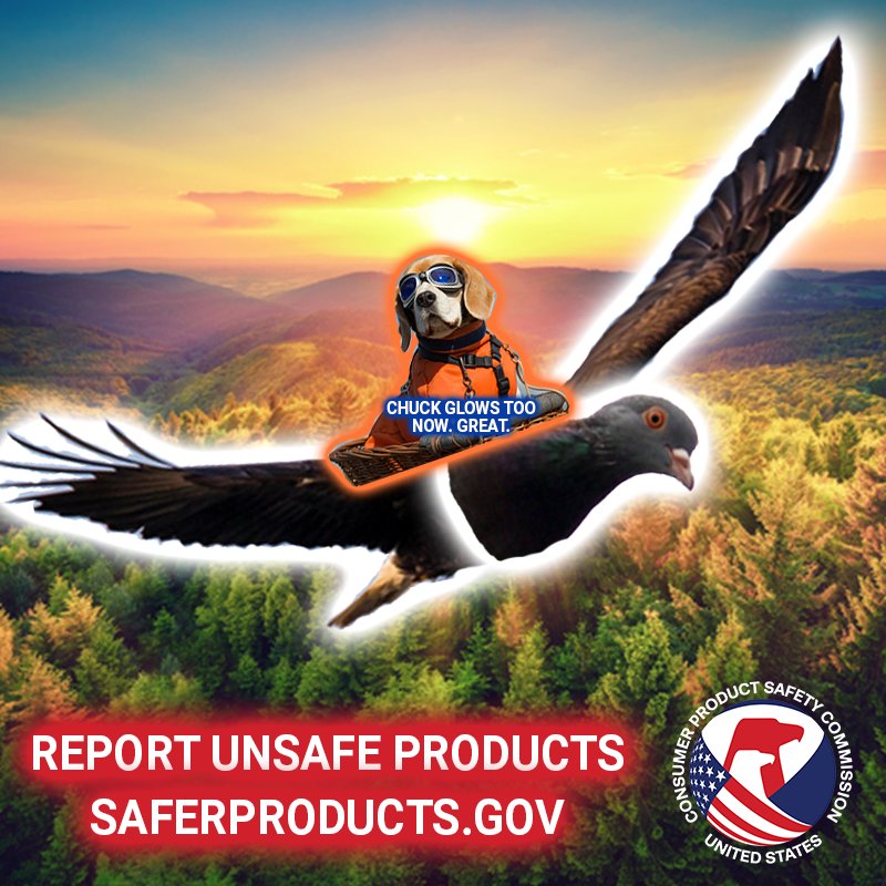Barks McWoofins rides into the sunset on the back of a giant eagle with the head of a pigeon. The pigeon is Chuck. Chuck is glowing white. McWoofins says wryly, "Chuck glows too now. Great. Report unsafe products on SaferProducts.gov"