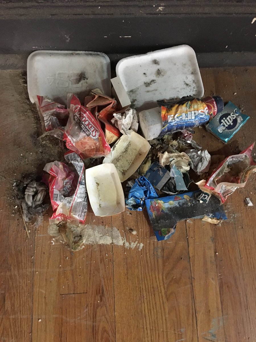 HattenMs's tweet photo. @FranklintonMS @DrWebb2016  Today I was cleaning the stage.  Behind and under this radiator I found all THIS! It’s cleaner now!  #howlonghasthatbeenthere #thankgoodnesswedontusethem #DramaTeacherProblems https://t.co/KlOjcAsTbD