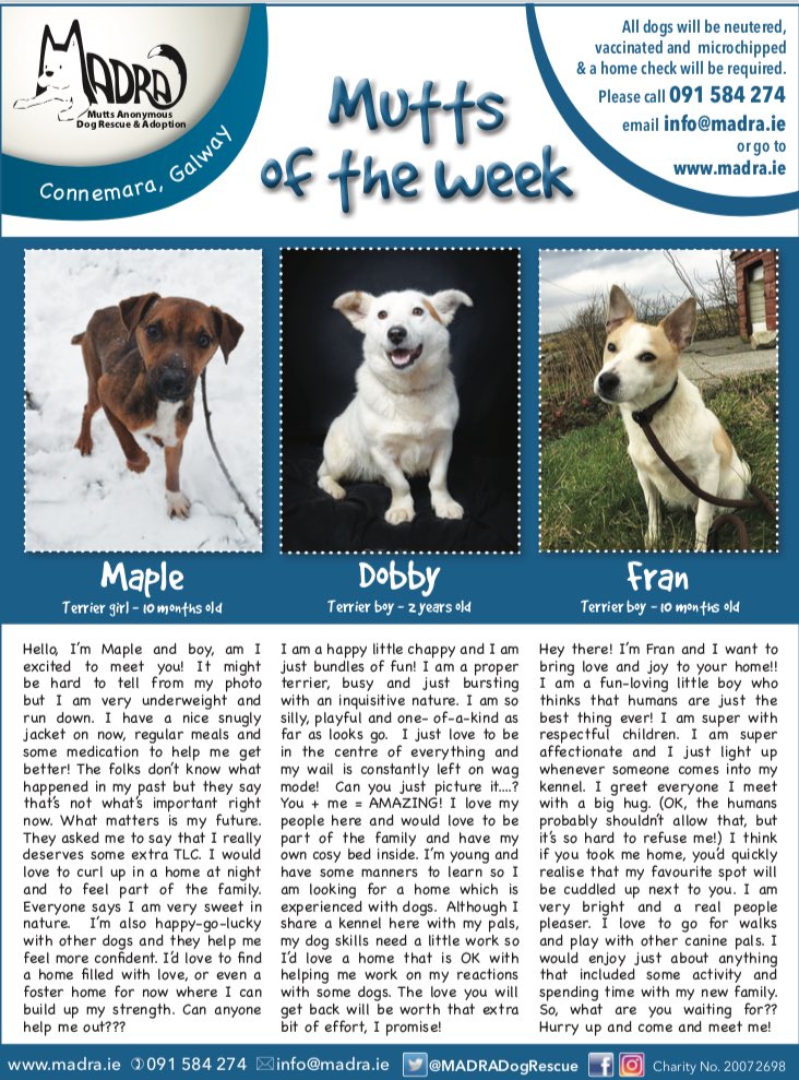 Fairlands Park (FairlandsPark) Twitter