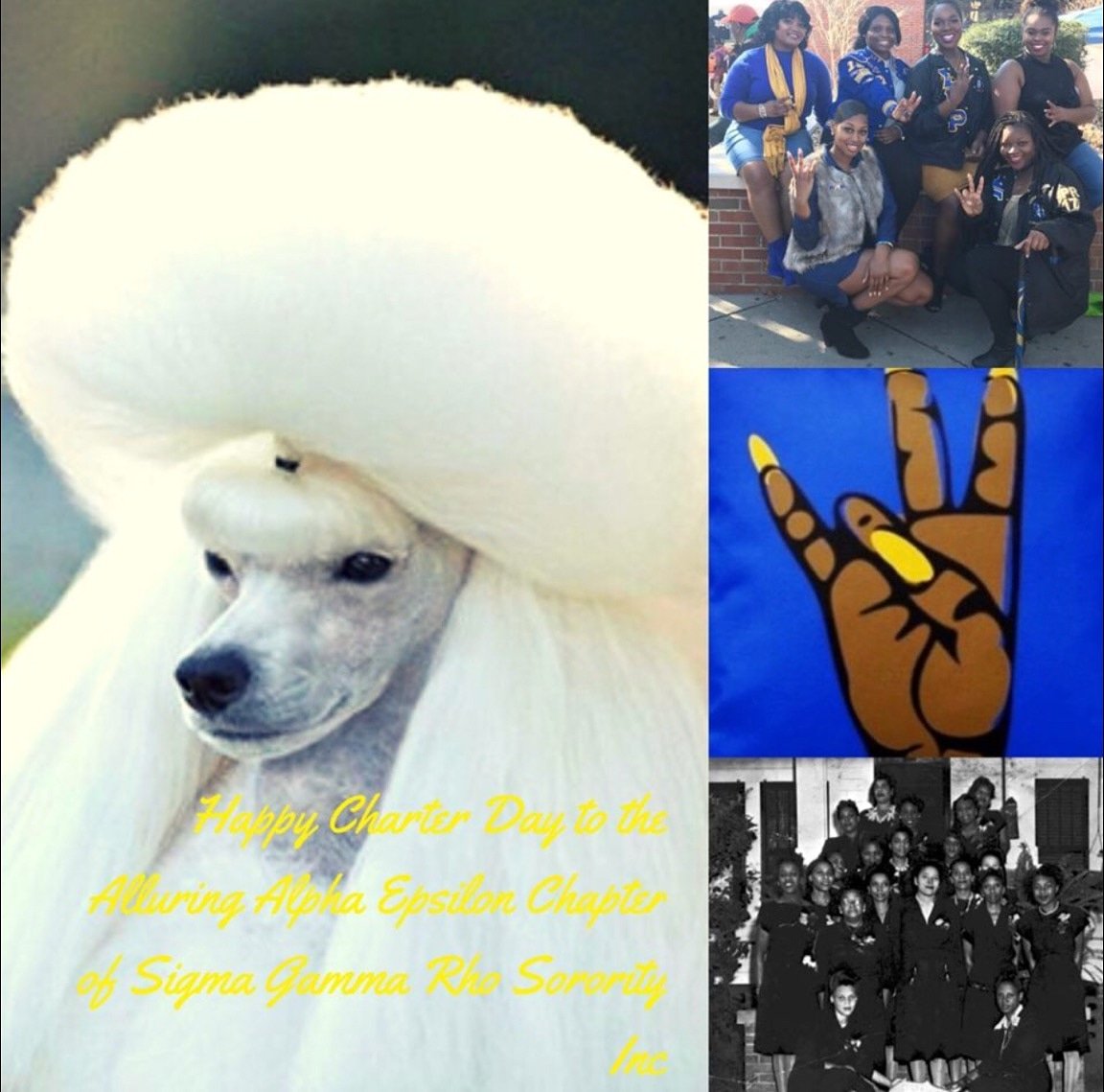BDS_SGRhos's tweet image. Happy Charter Day to the Alluring Alpha Epsilon Chapter of Sigma Gamma Rho Sorority, Inc.! It has been 82 yrs of nonstop Sisterhood, Scholarship, and Service here @ Florida A&amp;amp;M University🐍, &amp;amp; we can tell you that big things are in store for AE! 💙💛 #SGRho1922 #AlluringAE 🐩
