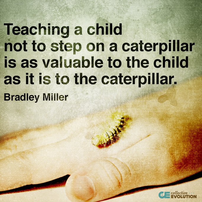 CollectiveEvol's tweet photo. https://t.co/pfgnQumRib
