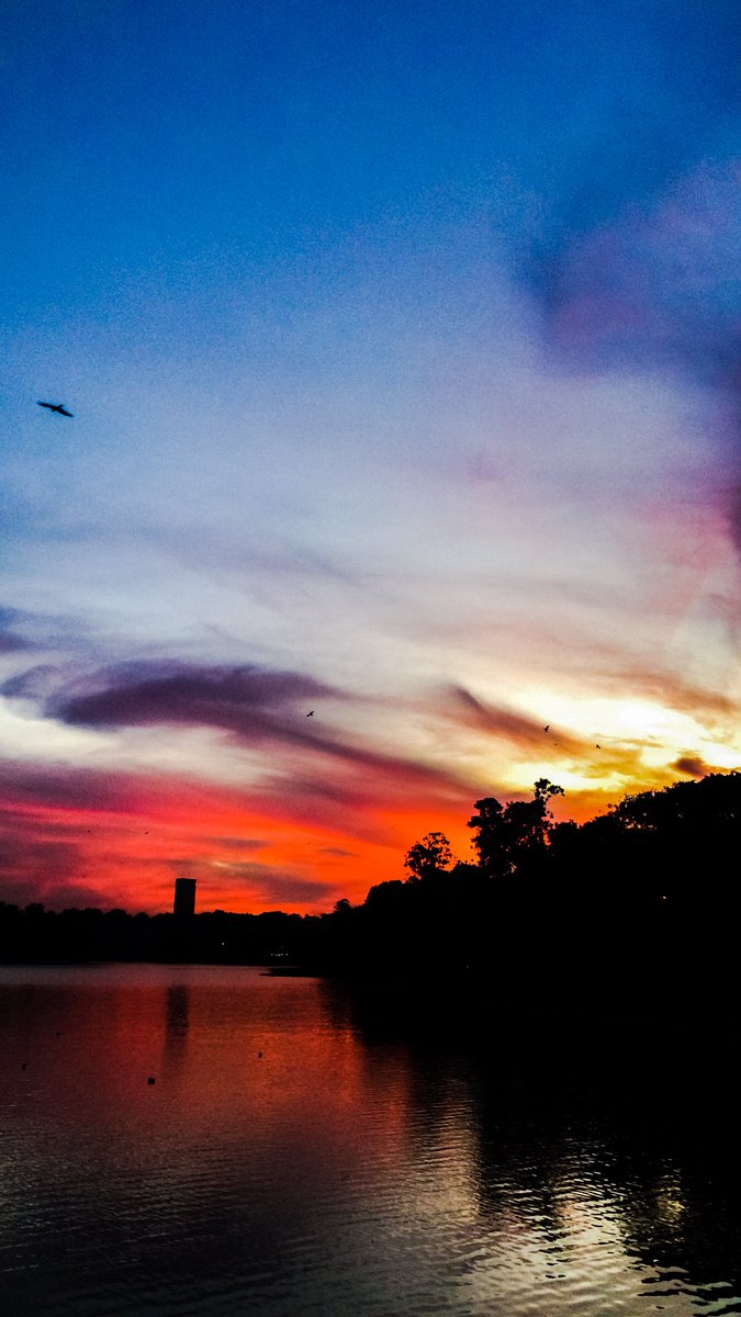 flying_tara's tweet photo. Picture of Sunset! 
#sunset #photography #mobilephotography https://t.co/Rzd0IyZnaQ