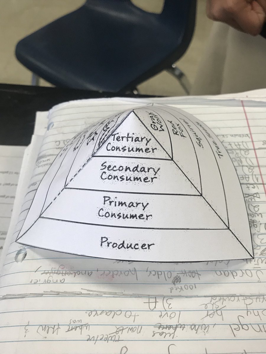 amybminton's tweet photo. Making 3D Energy Pyramids to explain how energy is transferred from plants to animals! https://t.co/W2H3OMvD6R
