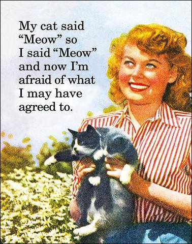 CatOwnersGlobal tweet picture
