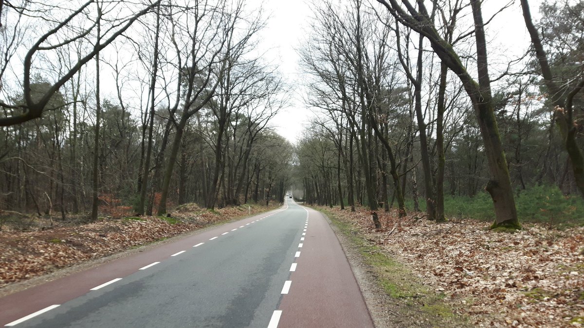 SnijderWiebe's tweet photo. Heerlijk weertje. Was nog droog op de fiets. #hetweer #mooiweer #natuurfotografie #natuur #buitenlucht https://t.co/ZY8t82TGXl