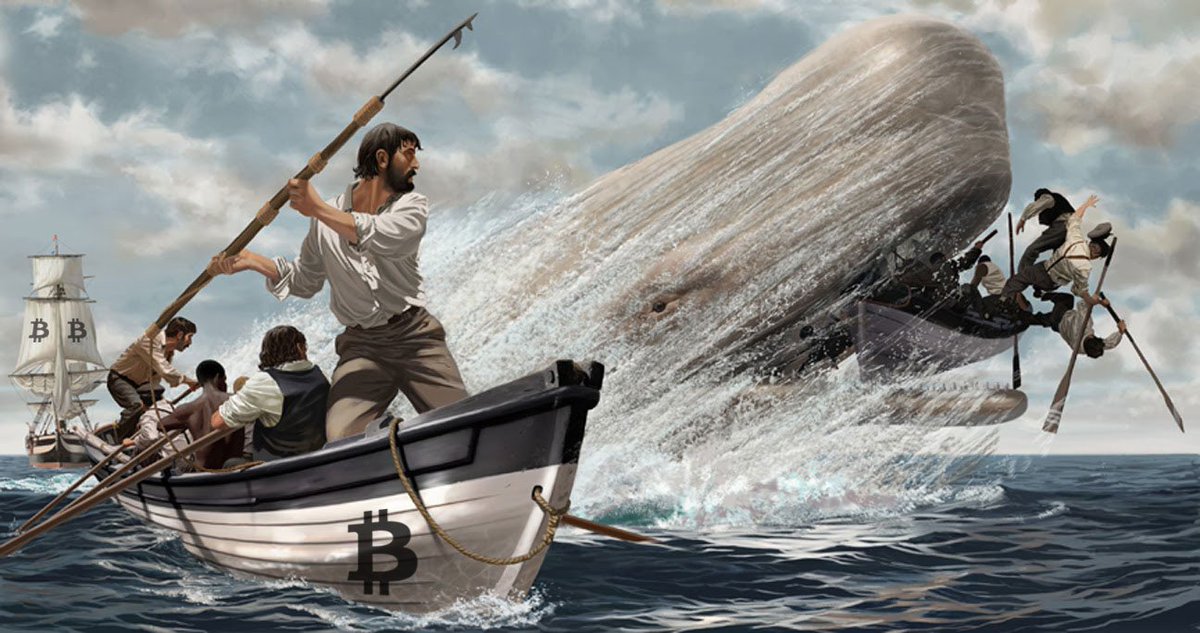 CryptoJunkyNL's tweet photo. Onrust op cryptomarkt, advocaat Mt. Gox blijkt bitcoin whale. - https://t.co/5DTBKTYjSM https://t.co/4Ltfxbro3O