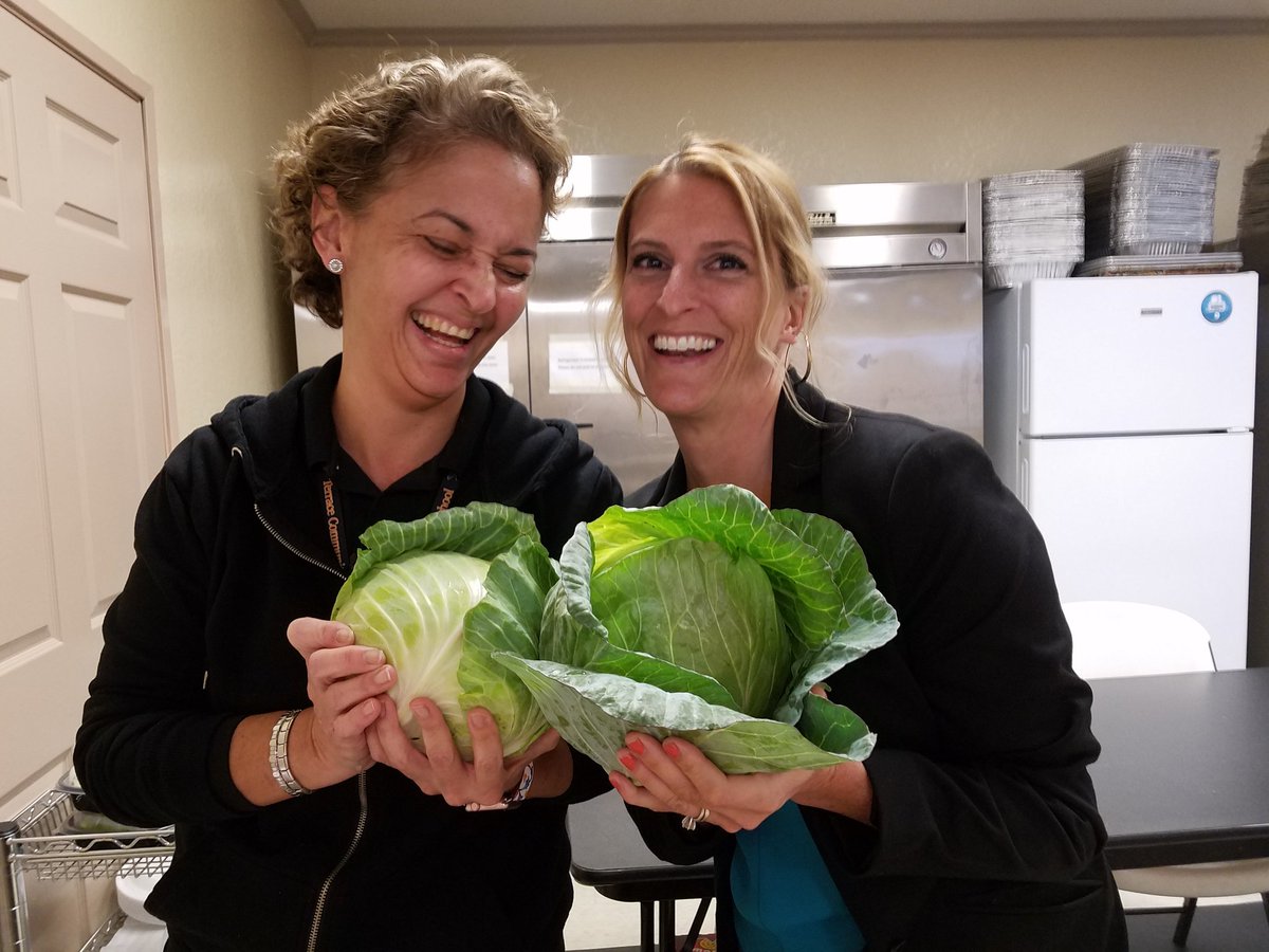 live_laugh_tech's tweet photo. What's in your school cafe'? Cabbages anyone?! #schoolgarde @TCMStornadoes #eatyourveggies Thank you Temple Terrace Garden Club for sponsoring hours seedfolks Garden. https://t.co/8GeVVNeVm6