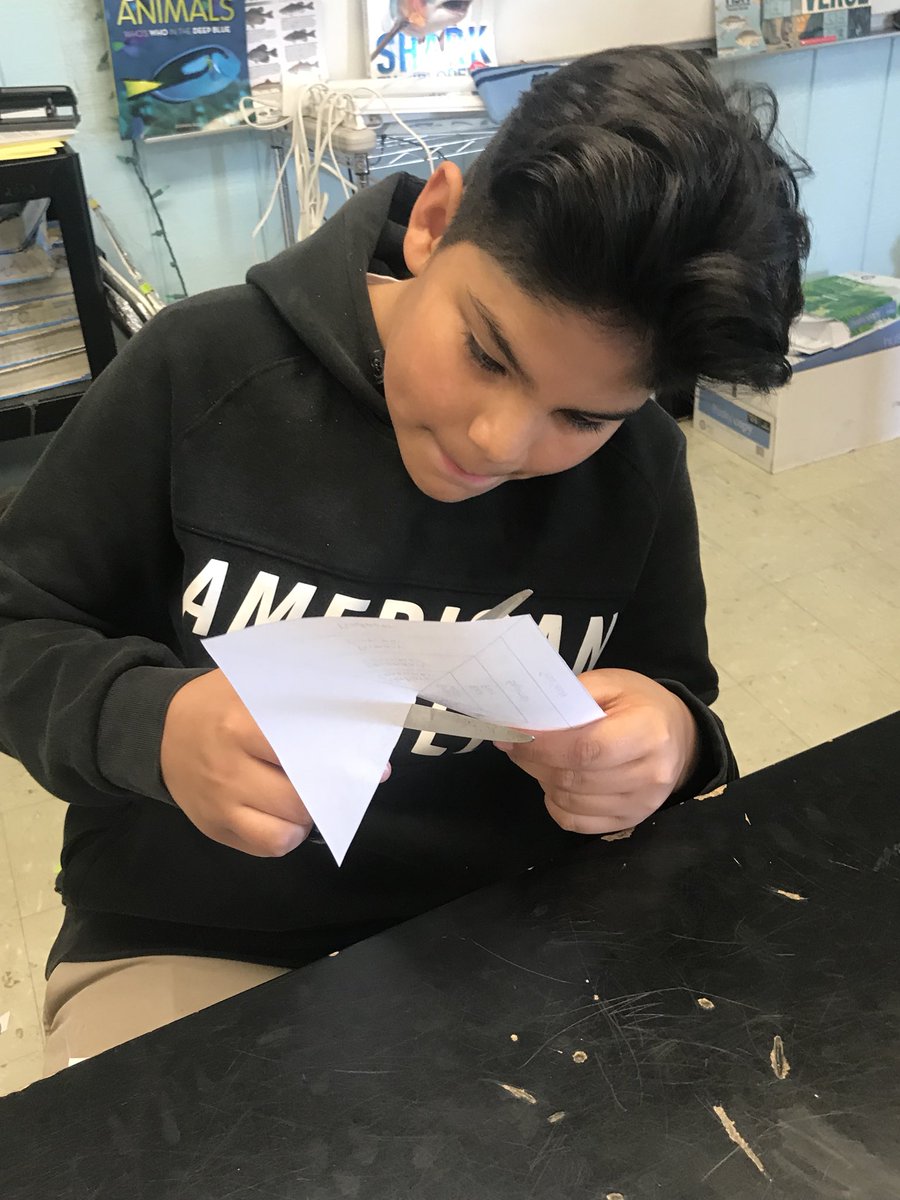amybminton's tweet photo. Making energy pyramids to model how energy is passed through an ecosystem. @TollisonTeaches @smgaillard #LMSNewDay https://t.co/7j07aZeks5